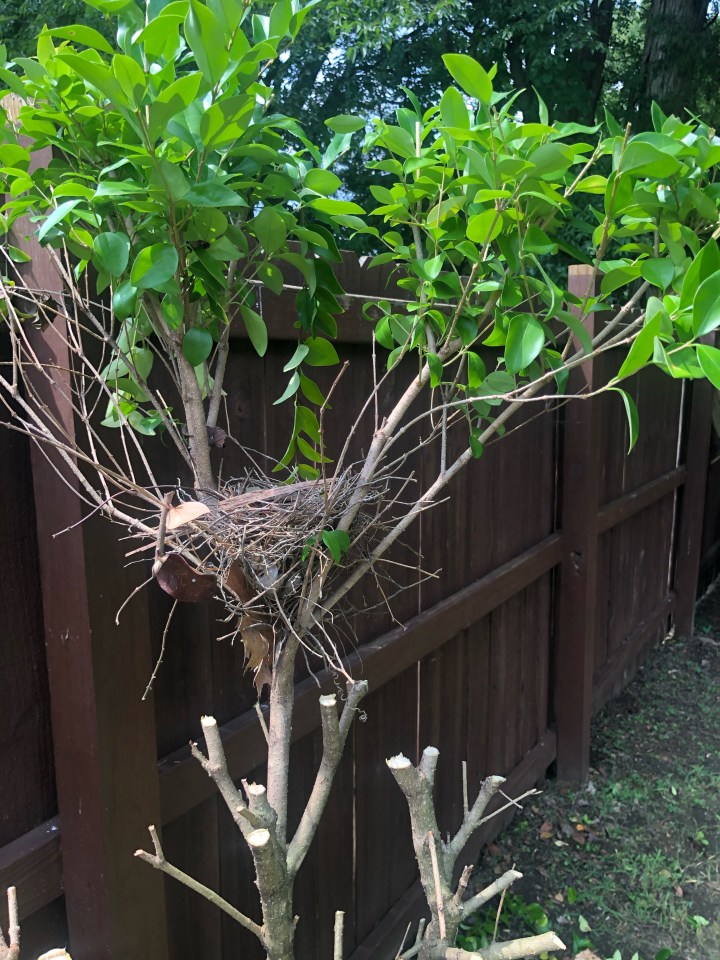 Birds of a&nbsp;Feather…